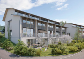 SteinbaumSiedlungEbertswil