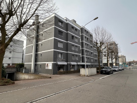 HuebwiesenstrasseMehrfamilienhausGeroldswil